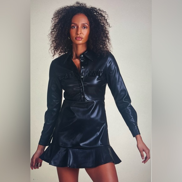 THE SHIRT BY ROCHELLE BEHRENS THE LEATHER DRESS NWT Medium - Picture 1 of 11